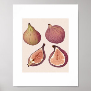 AFFICHE D'ART DE MUR DE FRUITS