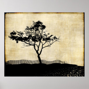 Affiche d'art de photo de silhouette d'arbre