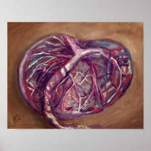 Affiche d'art de placenta - bureau de sage-femme,