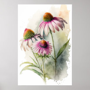 Affiche d'art de Rudbeckia pourpre