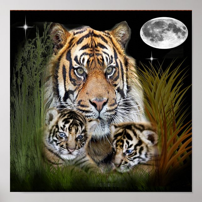 Affiche d'art de tigre (Devant)