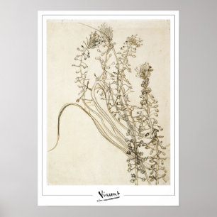 Affiche d'art de Vincent Van Gogh Zedign #356-3