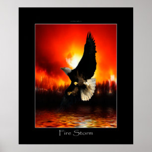 Affiche d'art d'Eagle chauve de TEMPÊTE DE FEU