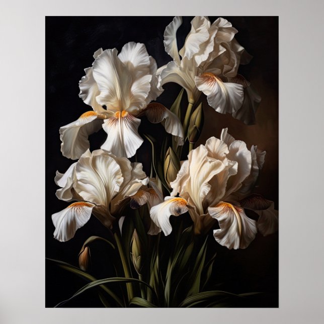 Affiche d'art d'impression de fleurs d'Iris blanc (Devant)