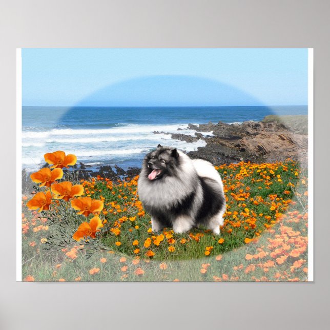 Affiche d'art du logo national de Keeshond (Devant)