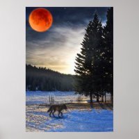 Affiche d'art faunique pour le loup arctique, la n