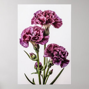 Affiche d'art floral d'œillets violets