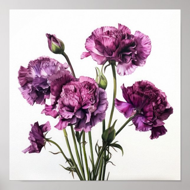 Affiche d'art floral d'œillets violets (Devant)