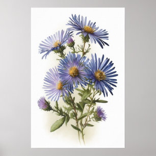 Affiche d'art imprimé de fleur d'aster bleu