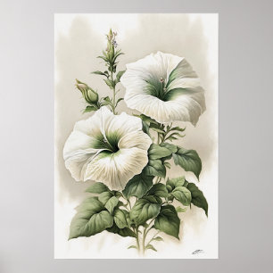 Affiche d'art imprimé de pétunias blancs