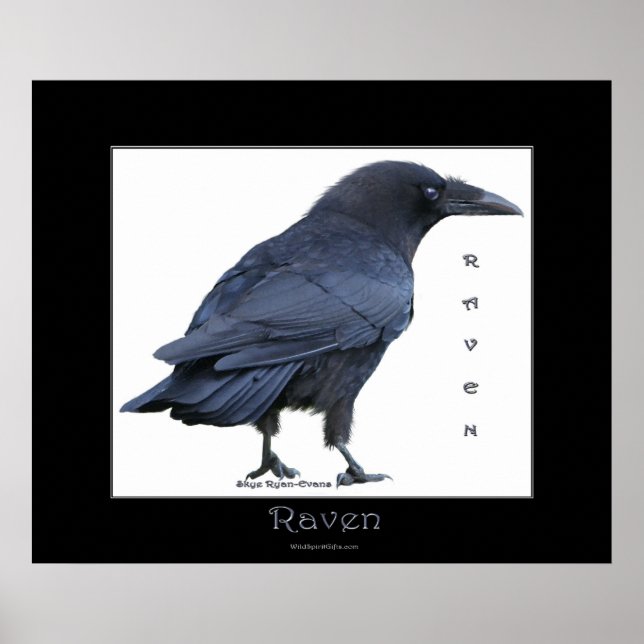 Affiche d'art NOIR RAVEN (Devant)
