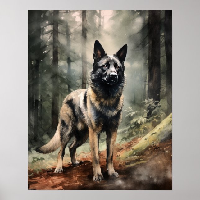 Affiche d'art norvégien Elkhound Dog (Devant)