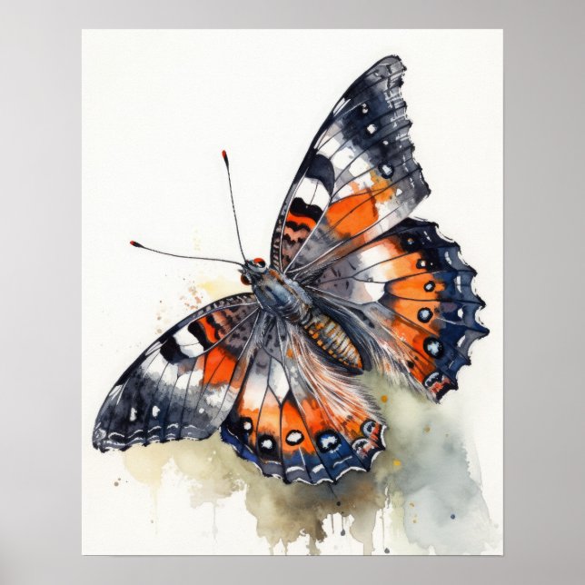 Affiche d'art papillon de Californie (Devant)