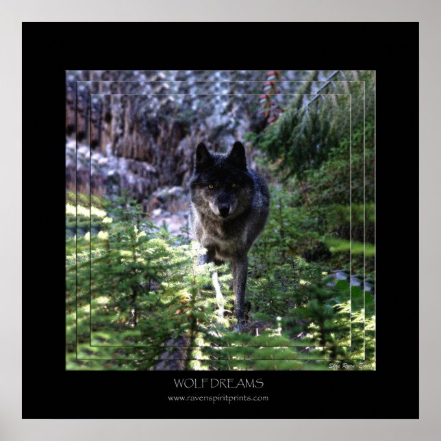 Affiche d'art WOLF RÊVES (Devant)