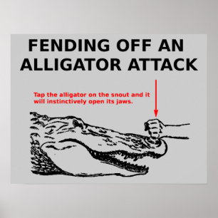 Affiche d'attaque d'alligator