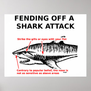 Affiche d'attaque de requin