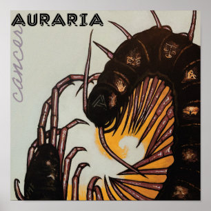 Affiche d'Auraria Cancer