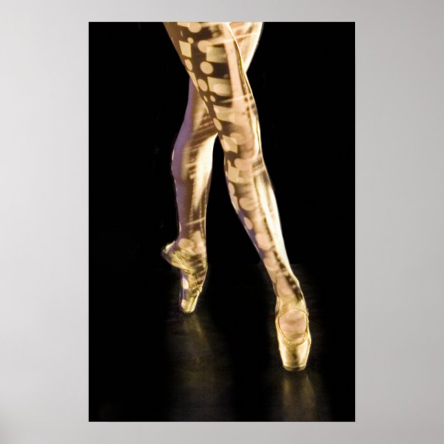 Affiche de ballet-4204 (Devant)