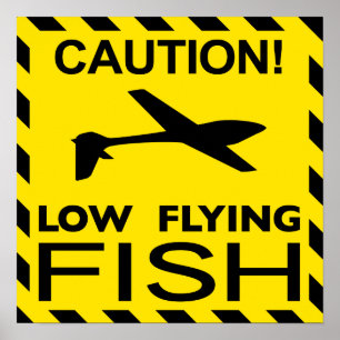 Affiche de "bas poissons de vol"