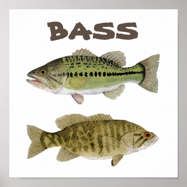 Affiche de Bass Art (Devant)
