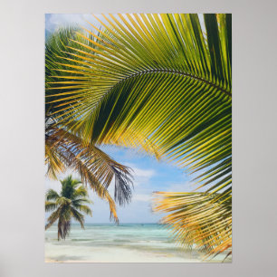 affiche de beach Palms