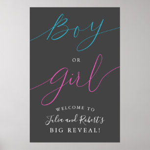 Affiche de bienvenue Gris de la fête de révélation