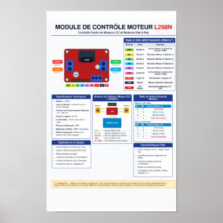 Affiche de brochage du pilote de moteur L298N A3