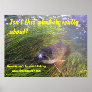 Affiche de Brookie