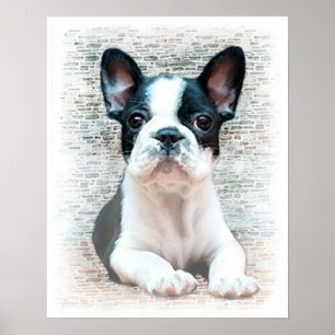 Affiche de bulldog en France