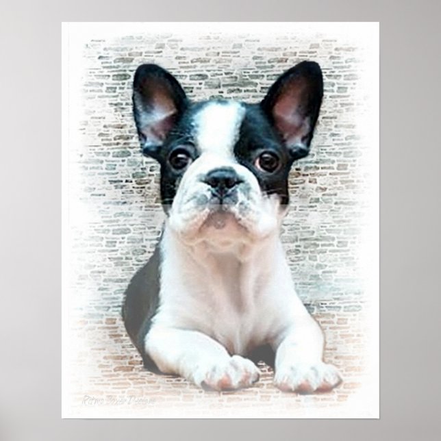 Affiche de bulldog en France (Devant)