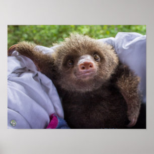 Affiche de café express