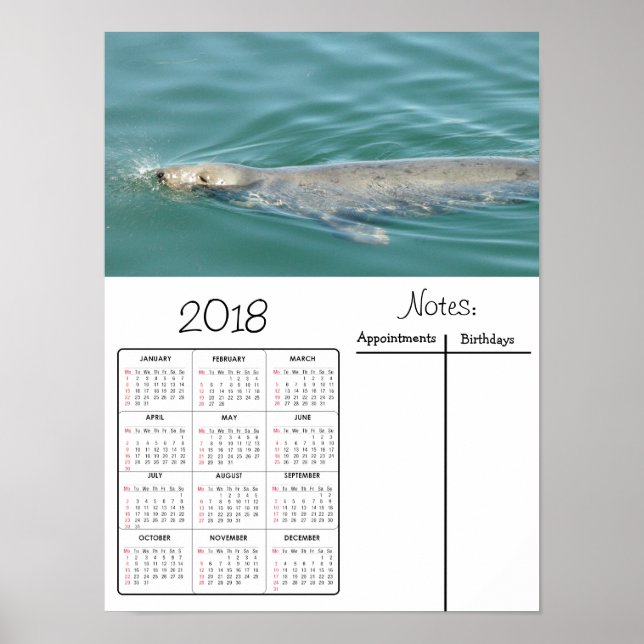 Affiche de calendrier 2018 de photo de phoque mign (Devant)