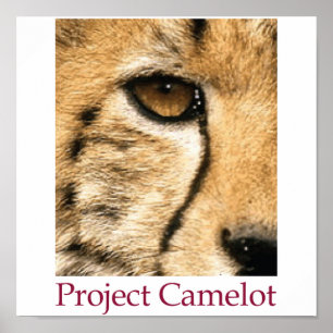 Affiche de Camelot de projet