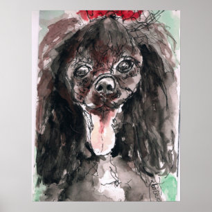 Affiche de caniche