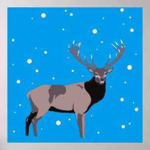 Affiche de cerfs communs de neige