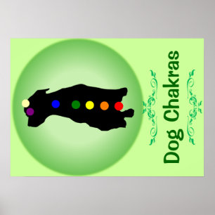 Affiche de Chakras de chien