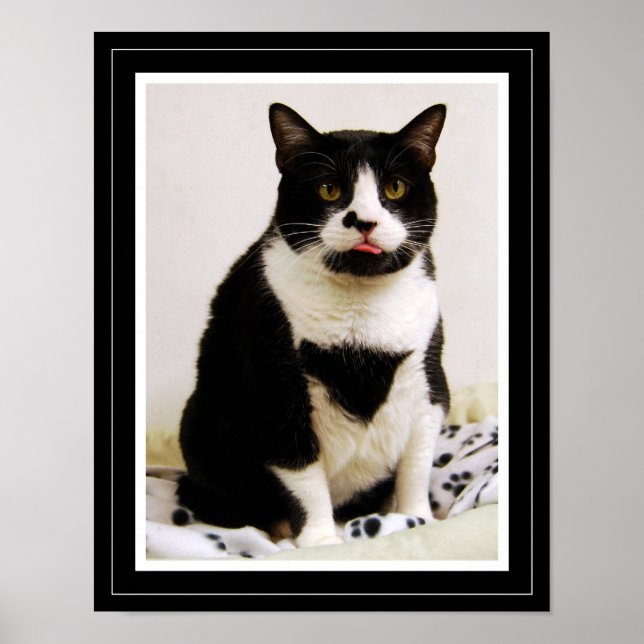 Affiche de chat en smoking drôle (Devant)