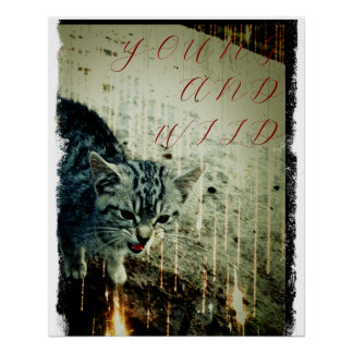 Affiche de chat - Jeune et sauvage