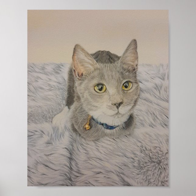 Affiche de chaton gris (Devant)