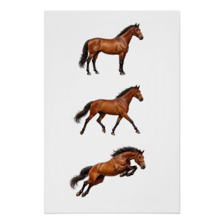 Affiche de cheval brun élégant pour décoration mur