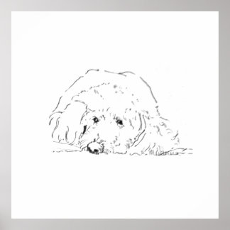 Affiche de chiot Cockapoo, idées de cadeaux pour a