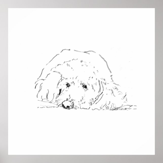 Affiche de chiot Cockapoo, idées de cadeaux pour a (Devant)