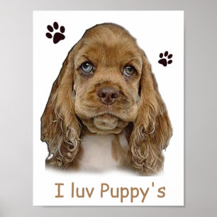 affiche de chiot cocker spaniel
