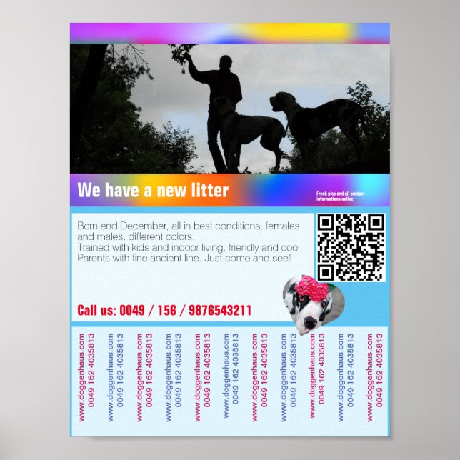 Affiche de chiots à vendre avec QR code (Devant)