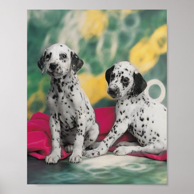 Affiche de chiots dalmates (Devant)