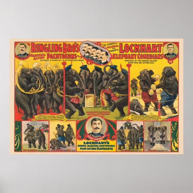 Affiche De Cirque D'Éléphants Qui Se Déroulent (Devant)