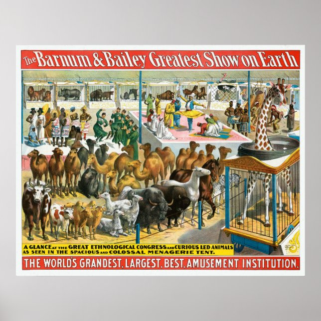 Affiche De Cirque Des Personnes De Différentes Nat (Devant)