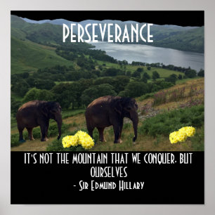 Affiche de citation motivante Éléphants de persévé