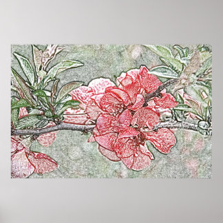 Affiche de coing corail
