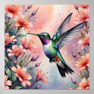 affiche de colibri floral
